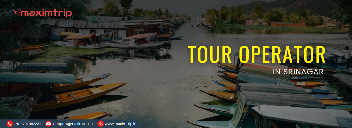 Tour Operators in Srinagar