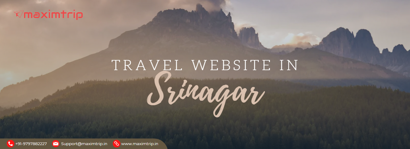 Travel Website in Srinagar