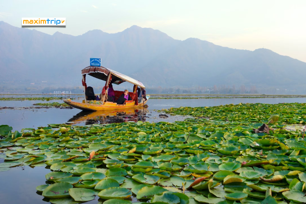 Cheapest_Srinagar_Tour_Package1.png