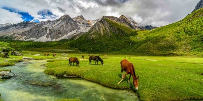 Gulmarg.jpg