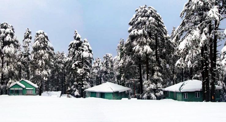 Kashmir_Group_Tour_With_Patnitop.jpg