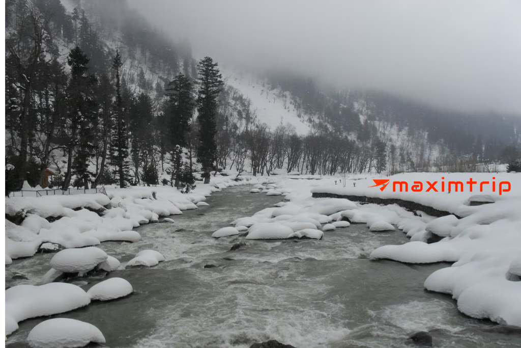 Kashmir_Tour_Packages_For_Family.png